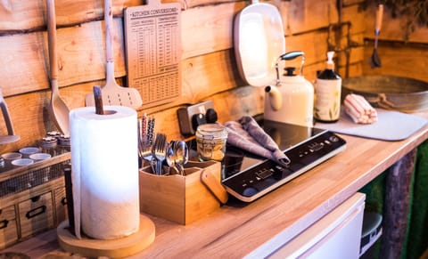 Induction hob, fridge, kettle