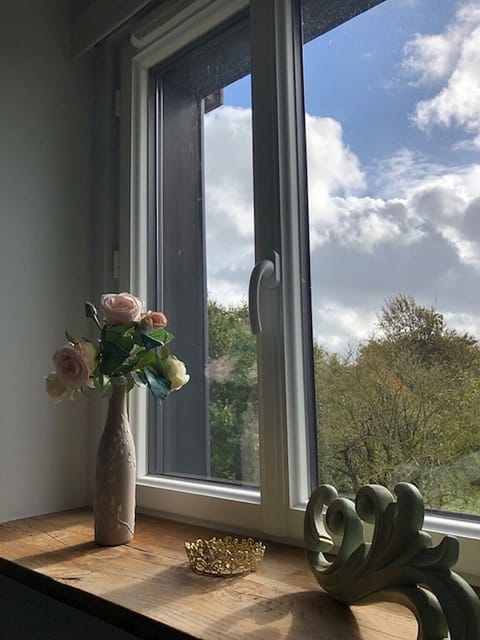 Window from Bedroom 2