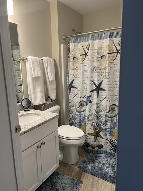 Combined shower/tub, hair dryer, bidet, towels