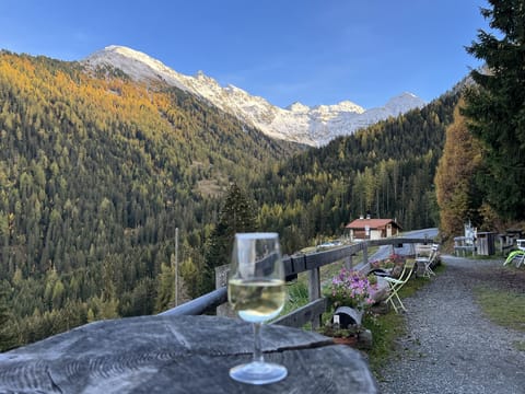 view from Maison de la Foret in early autumn