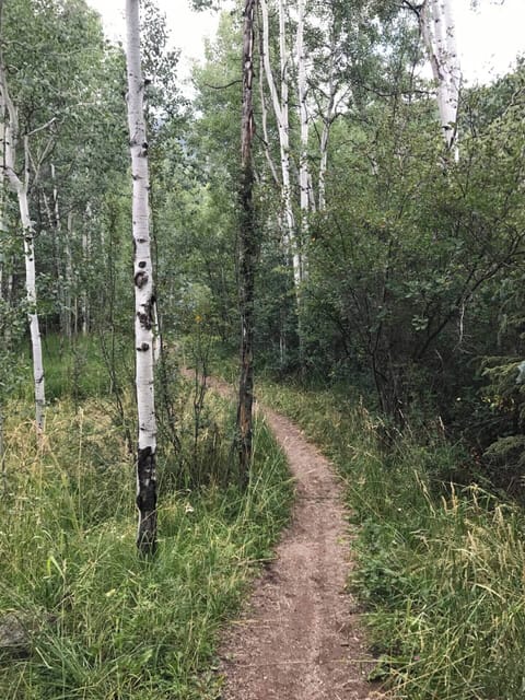 Path from home to lake and playground