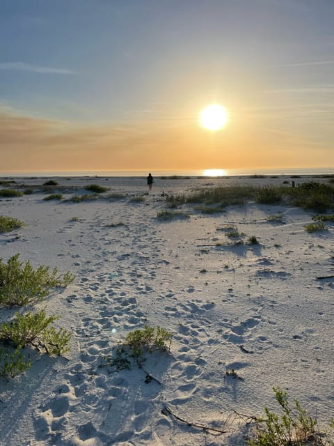 On the beach