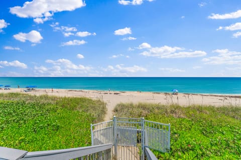 On the beach, sun loungers, beach towels