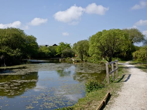 Surrounding area | Ash lodge - Retallack, St Columb