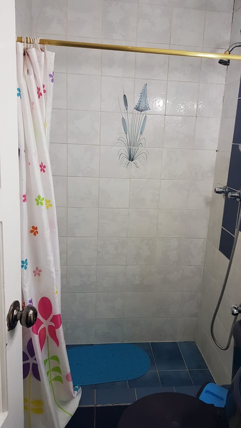 Combined shower/tub, hair dryer, towels, soap