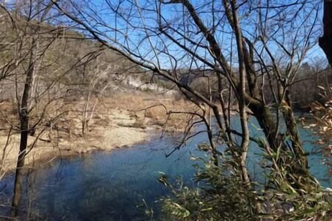 0f11c8de f56f 430f a2e6 d183a859f1f5