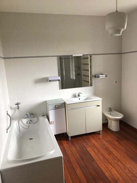 Combined shower/tub, hair dryer, bidet, toilet paper