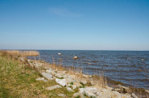 Area that directly surrounds the property