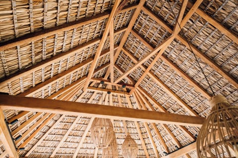 cd0e0ad9-482d-4c93-8bca-ad19ba2da5b8