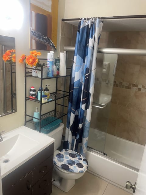 Combined shower/tub, towels, soap, toilet paper