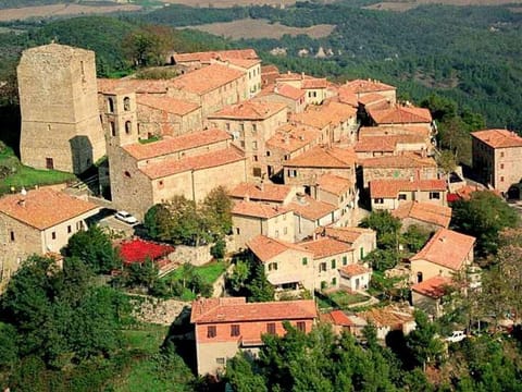 Immediate Surroundings [summer] (<1 km)