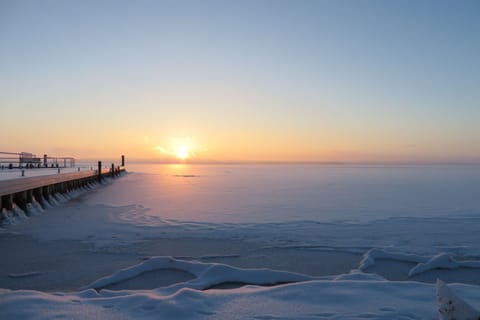 Immediate Surroundings [winter] (&lt;1 km)