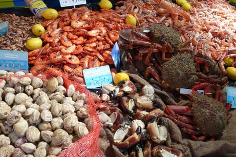 Surroundings [summer] (1-5 km)