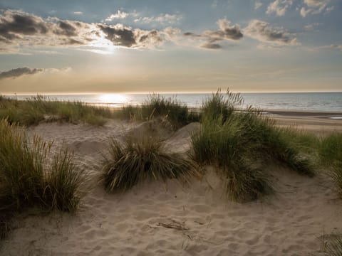 Sun loungers, beach towels