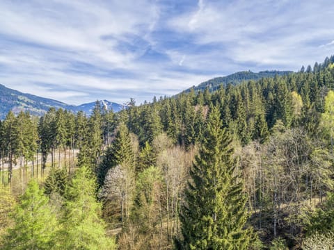 Region [summer] (&gt;5 km)