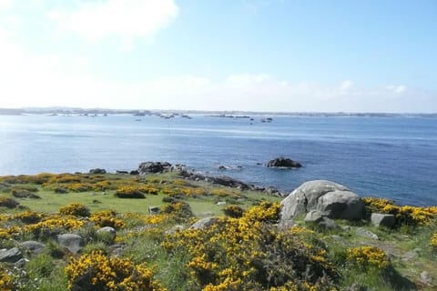 Region [summer] (&gt;5 km)