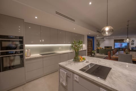 Kitchen island, small cooking hob, large hob, 2 ovens and 2 dishwashers