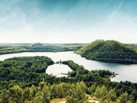 Region [summer] (>5 km)