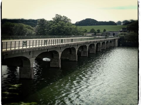 Surroundings [summer] (1-5 km)