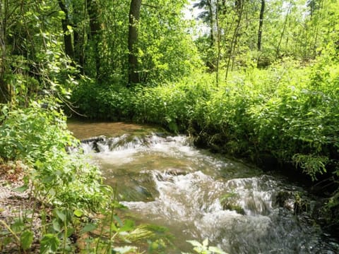 Region [summer] (>5 km)