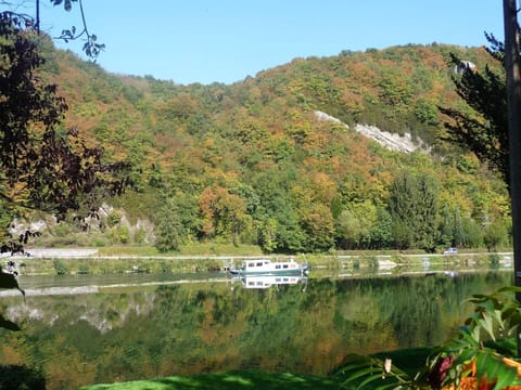 Immediate Surroundings [summer] (<1 km)