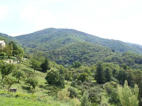 View from Holiday Home [summer]
