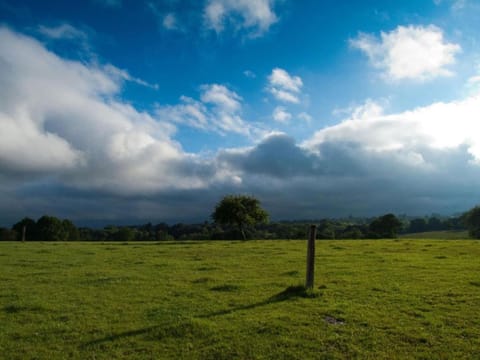 Region [summer] (>5 km)