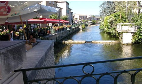 Immediate Surroundings [summer] (&lt;1 km)