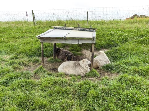 Immediate Surroundings [summer] (<1 km)