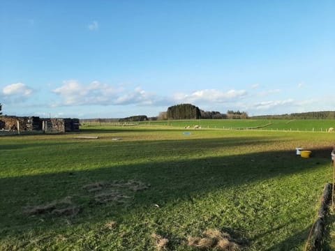 View from Holiday Home [summer]