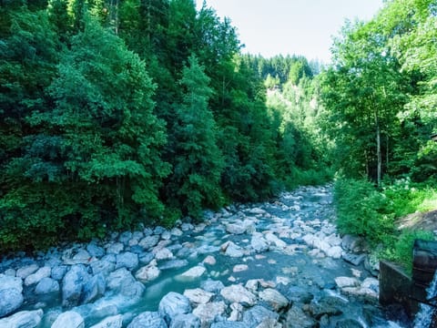 Region [summer] (>5 km)