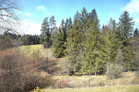 Immediate Surroundings [summer] (&lt;1 km)