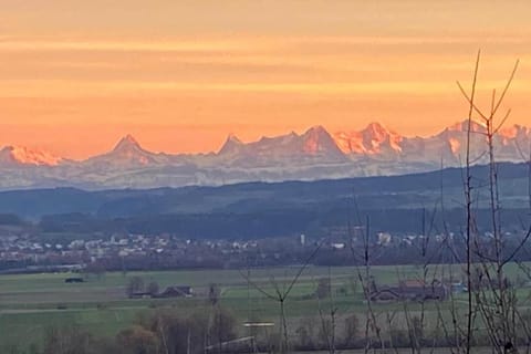 Region [summer] (>5 km)