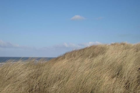 Region [summer] (>5 km)