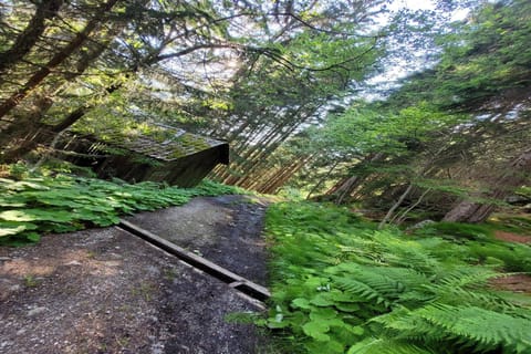 Surroundings [summer] (1-5 km)