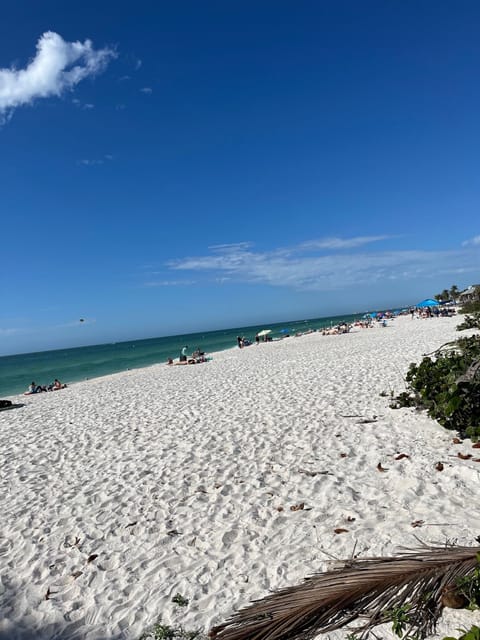 Beach nearby, sun loungers, beach towels