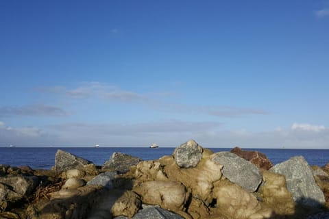 Beach/ocean view