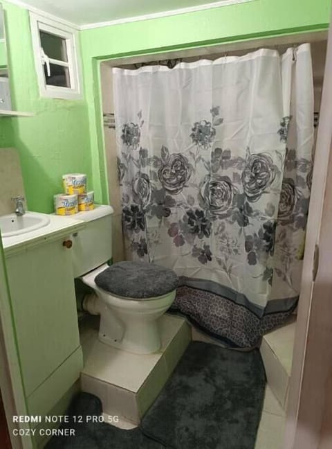 Shower, towels, soap, toilet paper