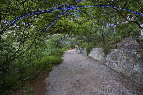 This is the pathway from the parking pavilion to the house for your stay. 
