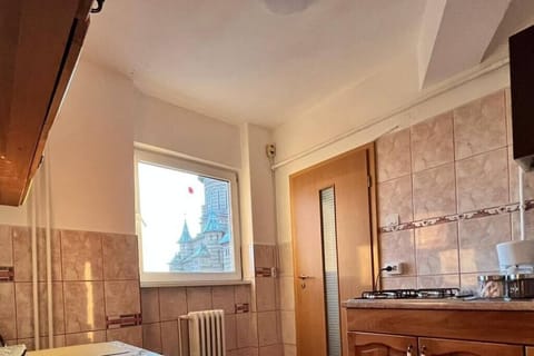 UltraCentral Best View VIC7-23 Condo in Timisoara