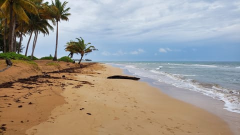 On the beach