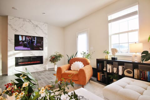 Smart TV, fireplace, books, computer monitors