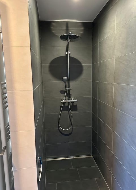 Shower, hair dryer