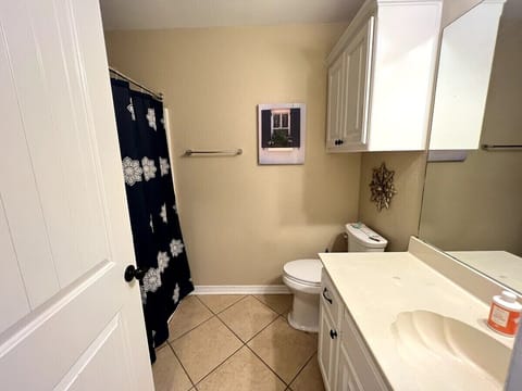 Shower, jetted tub, hair dryer, towels