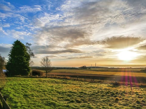 Surrounding area | Pine Tree Cottage - Bonn Na Coille Cottages, Ballater