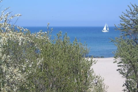 On the beach