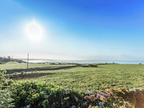 View | High Auchenlarie Cottage, Near Gatehouse of Fleet