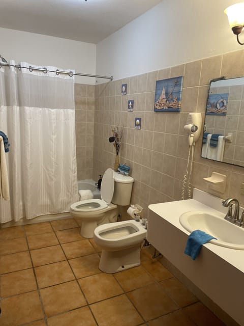 Combined shower/tub, hair dryer, bidet, towels