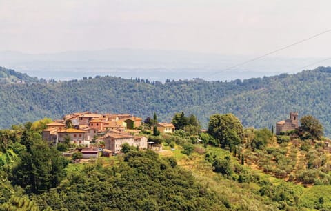 Activities, Autumn, Spring, Summer