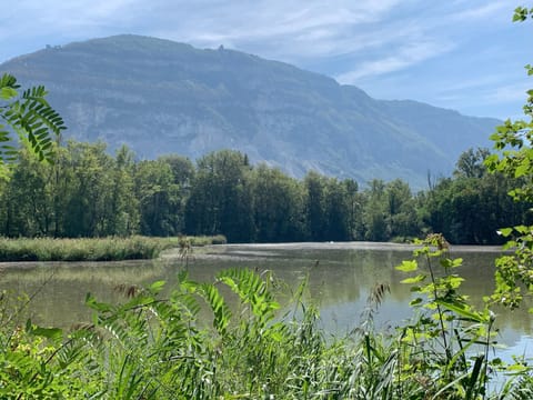 lake next to the house
